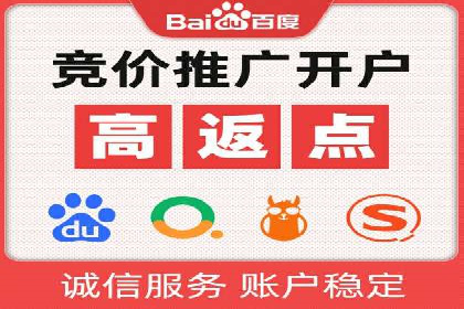 搜索引擎竞价推广实战：行业领先企业的成功秘诀